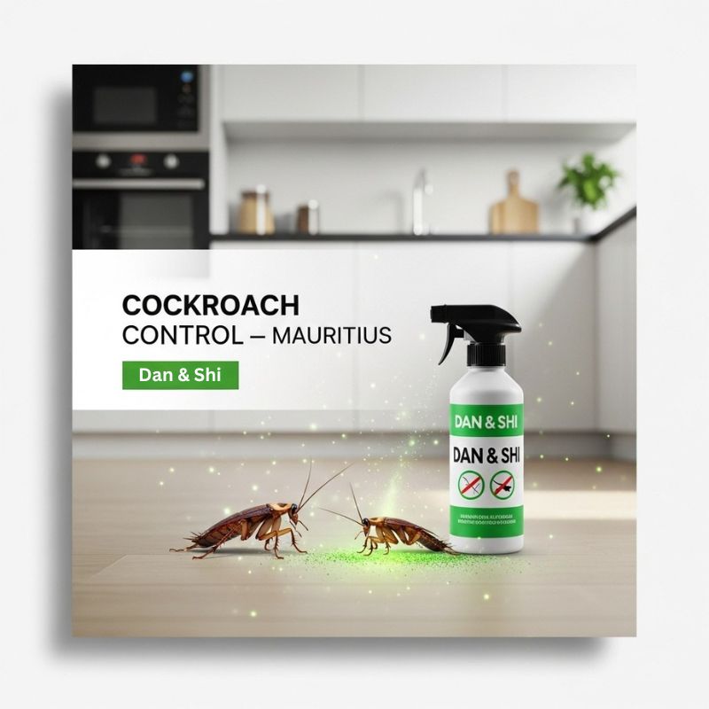 Tips for cockroach control in Mauritian kitchens