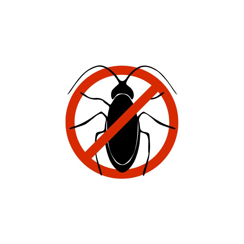 Cockroach control for kitchens and homes in Mauritius