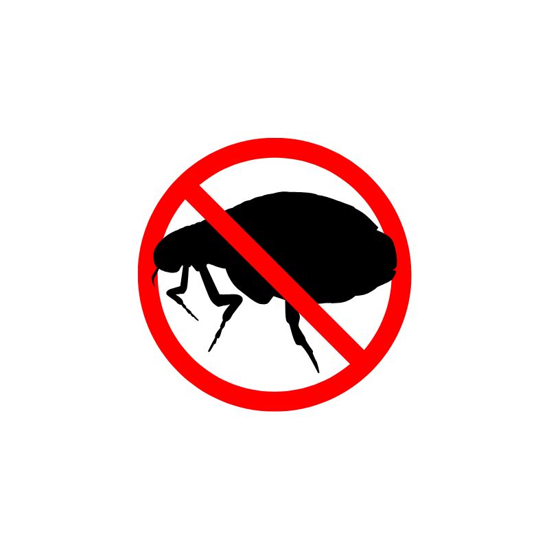 Flea control for homes with pets in Mauritius